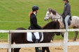 Thumbnail img_6813.jpg 