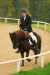 Thumbnail img_6853.jpg 