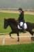 Thumbnail img_6854.jpg 