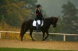 Thumbnail img_6857.jpg 