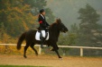 Thumbnail img_6871.jpg 