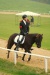 Thumbnail img_6895.jpg 