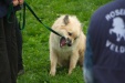Thumbnail img_6922.jpg 