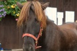 Thumbnail img_6924.jpg 