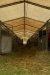 Thumbnail img_6925.jpg 