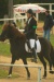 Thumbnail img_6981.jpg 