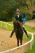 Thumbnail img_7001.jpg 