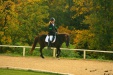 Thumbnail img_7007.jpg 