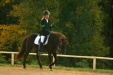 Thumbnail img_7008.jpg 