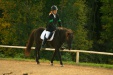 Thumbnail img_7009.jpg 