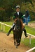 Thumbnail img_7015.jpg 