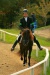 Thumbnail img_7016.jpg 