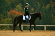 Thumbnail img_7021.jpg 