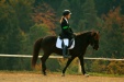 Thumbnail img_7023.jpg 