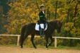 Thumbnail img_7024.jpg 