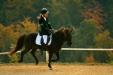 Thumbnail img_7042.jpg 