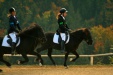 Thumbnail img_7047.jpg 