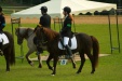 Thumbnail img_7061.jpg 