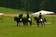 Thumbnail img_7062.jpg 