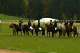 Thumbnail img_7066.jpg 