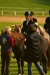Thumbnail img_7080.jpg 