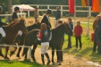 Thumbnail img_7090.jpg 