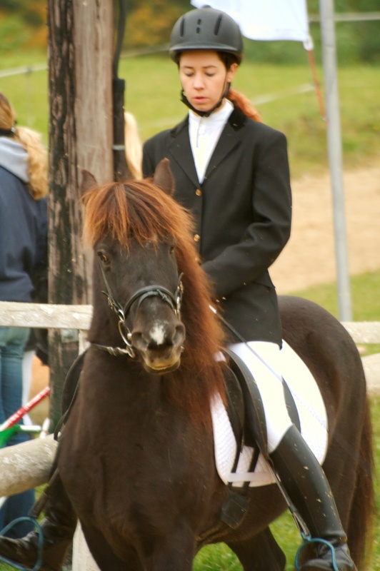img_6825.jpg 