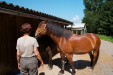 Thumbnail img_8795.jpg 