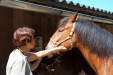 Thumbnail img_8797.jpg 