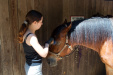 Thumbnail img_8798.jpg 