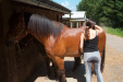 Thumbnail img_8801.jpg 