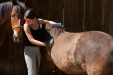 Thumbnail img_8804.jpg 