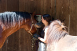 Thumbnail img_8808.jpg 