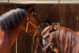 Thumbnail img_8810.jpg 