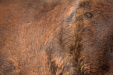 Thumbnail img_8811.jpg 