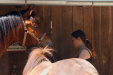 Thumbnail img_8812.jpg 