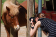 Thumbnail img_8816.jpg 