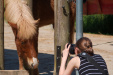 Thumbnail img_8818.jpg 