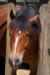 Thumbnail img_8832.jpg 