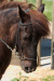 Thumbnail img_8853.jpg 