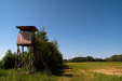 Thumbnail img_8858.jpg 