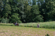 Thumbnail img_8859.jpg 
