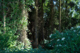 Thumbnail img_8862.jpg 
