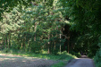 Thumbnail img_8863.jpg 