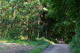 Thumbnail img_8864.jpg 
