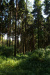 Thumbnail img_8867.jpg 