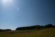 Thumbnail img_8872.jpg 