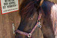 Thumbnail img_8873.jpg 