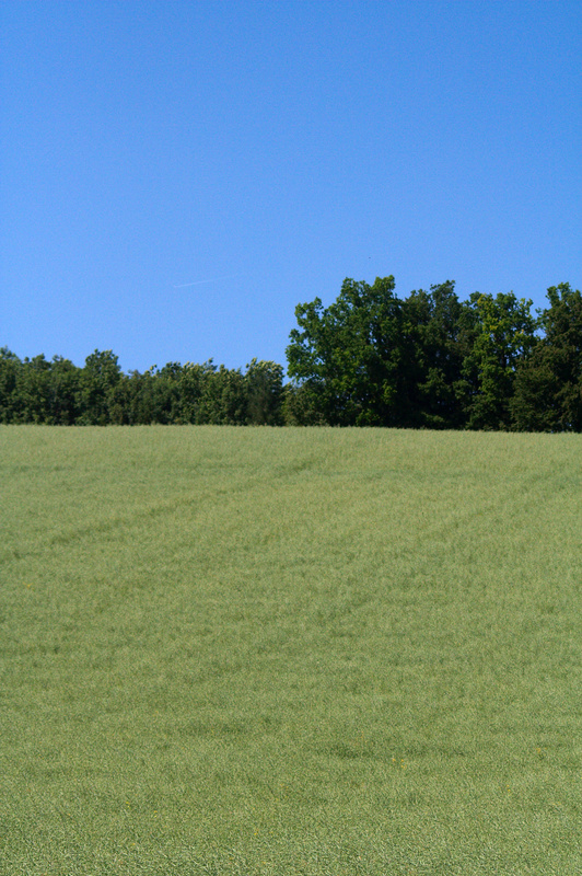 img_8854.jpg 