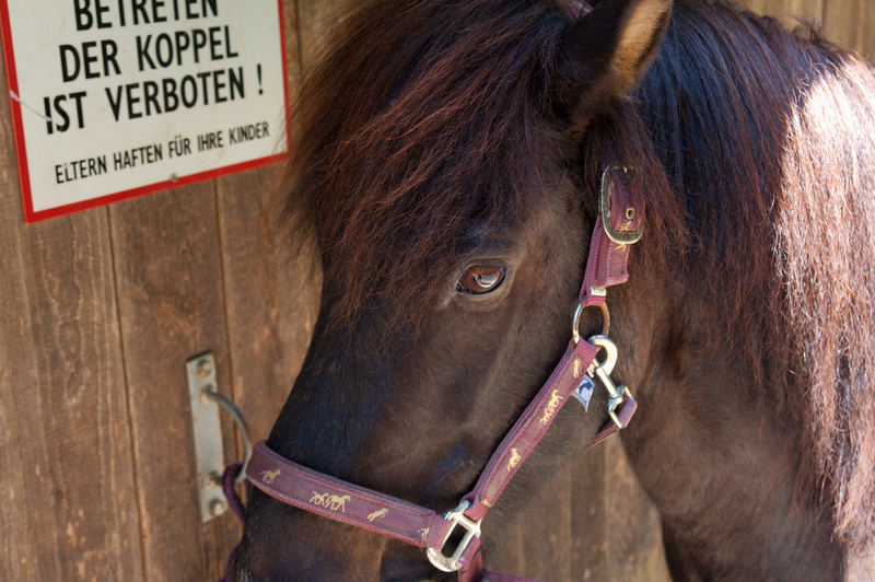 img_8873.jpg 